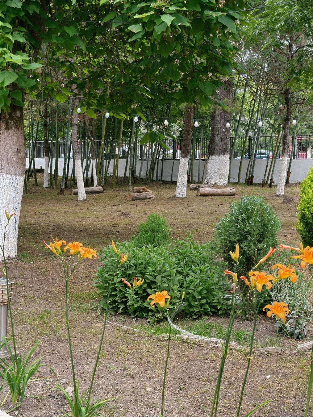 Hotel Solidarity Kobuleti Zewnętrze zdjęcie